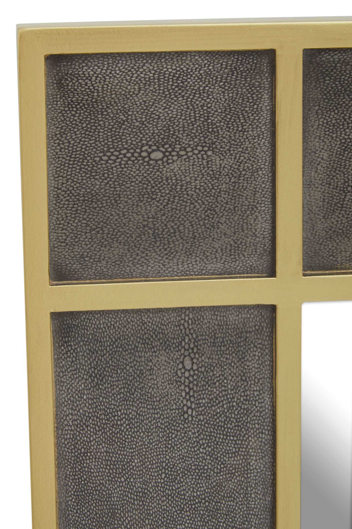 Refine Rectangular Shagreen Mirror