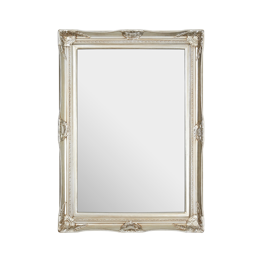 Grace Rectangular Champagne Mirror