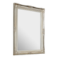 Grace Rectangular Champagne Mirror